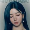 borahae_009