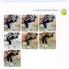 lungagoodmansaula3