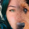 paw.pet.around.world