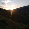 _lerikli043
