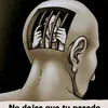 seguiredepie