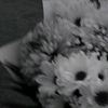 ria_jalim