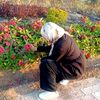 nour.amr234