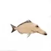 aaaaaaaaanca