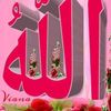 dyars36nhafp