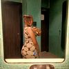 kamilabelle01