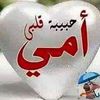 user2771300253732