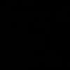 senaustur