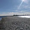 dominik_buq
