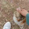 mimisouso0