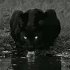 ooooo_king_7777