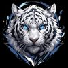 a_adam038