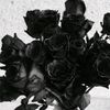.bib_8