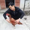 anhtuy1989