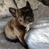 cindytrembath