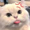 fygaming.17