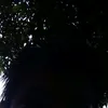 jessicavelasco947gmail.0