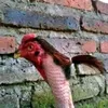 diafragma6