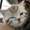 fiara_10
