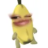 seiaem