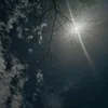 the_boy_who_fell_inlove