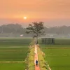 reahanbhi96