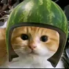 alifianrl_14