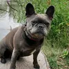 irisnitsch0