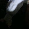 ferdy_69