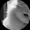 hamicute11