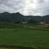 duyanh_1234566