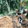 dedi.mulyadi56
