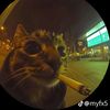 leon_3475