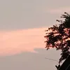 dovincleiromero
