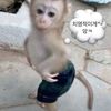 cuttt37