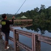 mancing.22