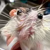 takemichyiscute