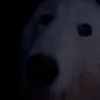 miro_suutane