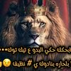 user7965659884119
