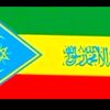 ኮኪ