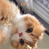 nana_be04
