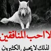 user3128176583776