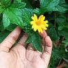 rashid.ahamed06