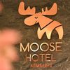 Moose Hotel Nimman