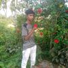 user8114383394922