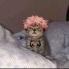 ajad_king_wolf