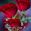 user4368309672633