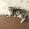 neysik12