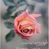 mohammadmoha.mad