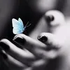 lllravsr